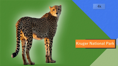 Kruger National Park